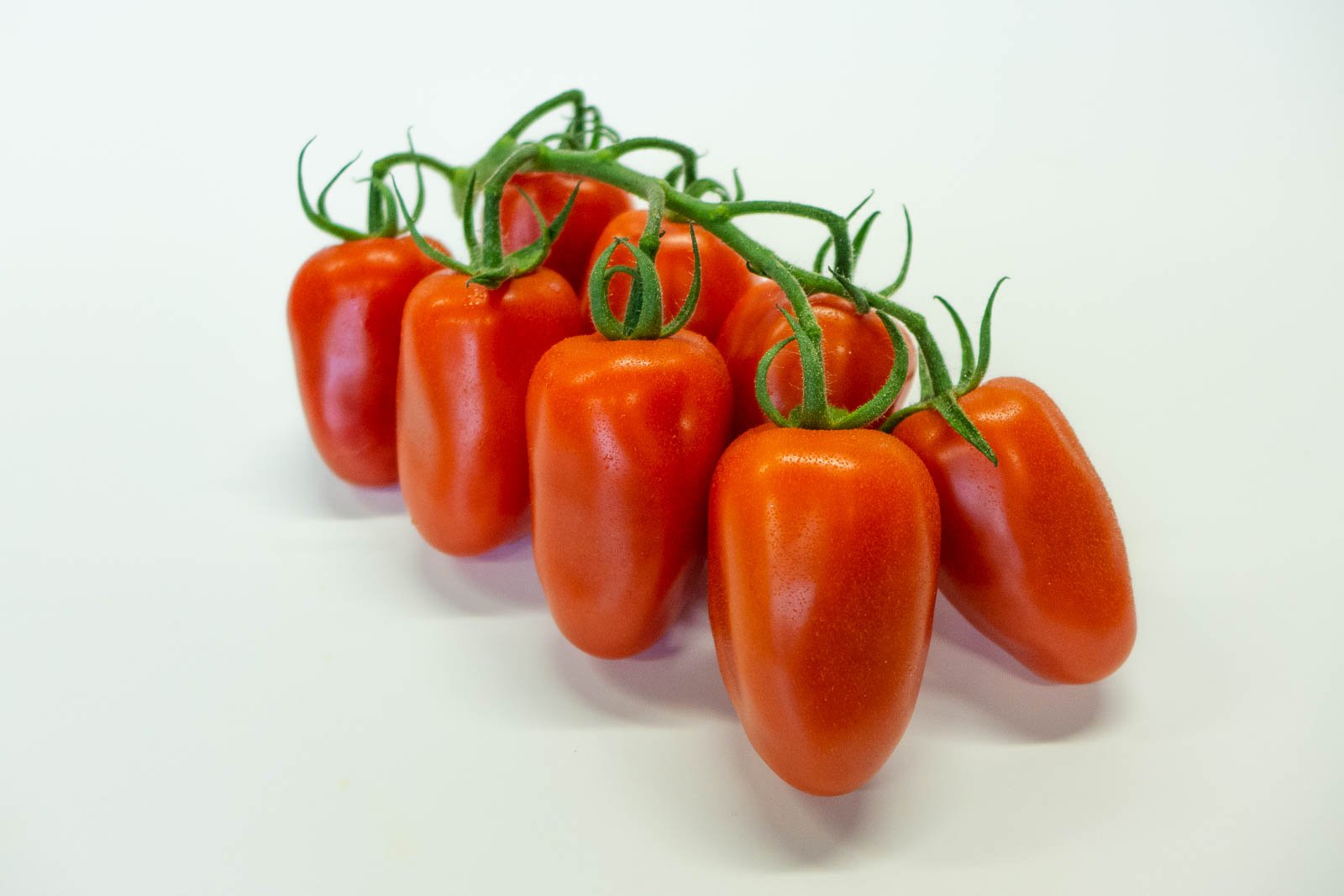 San Marzano am Zweig
